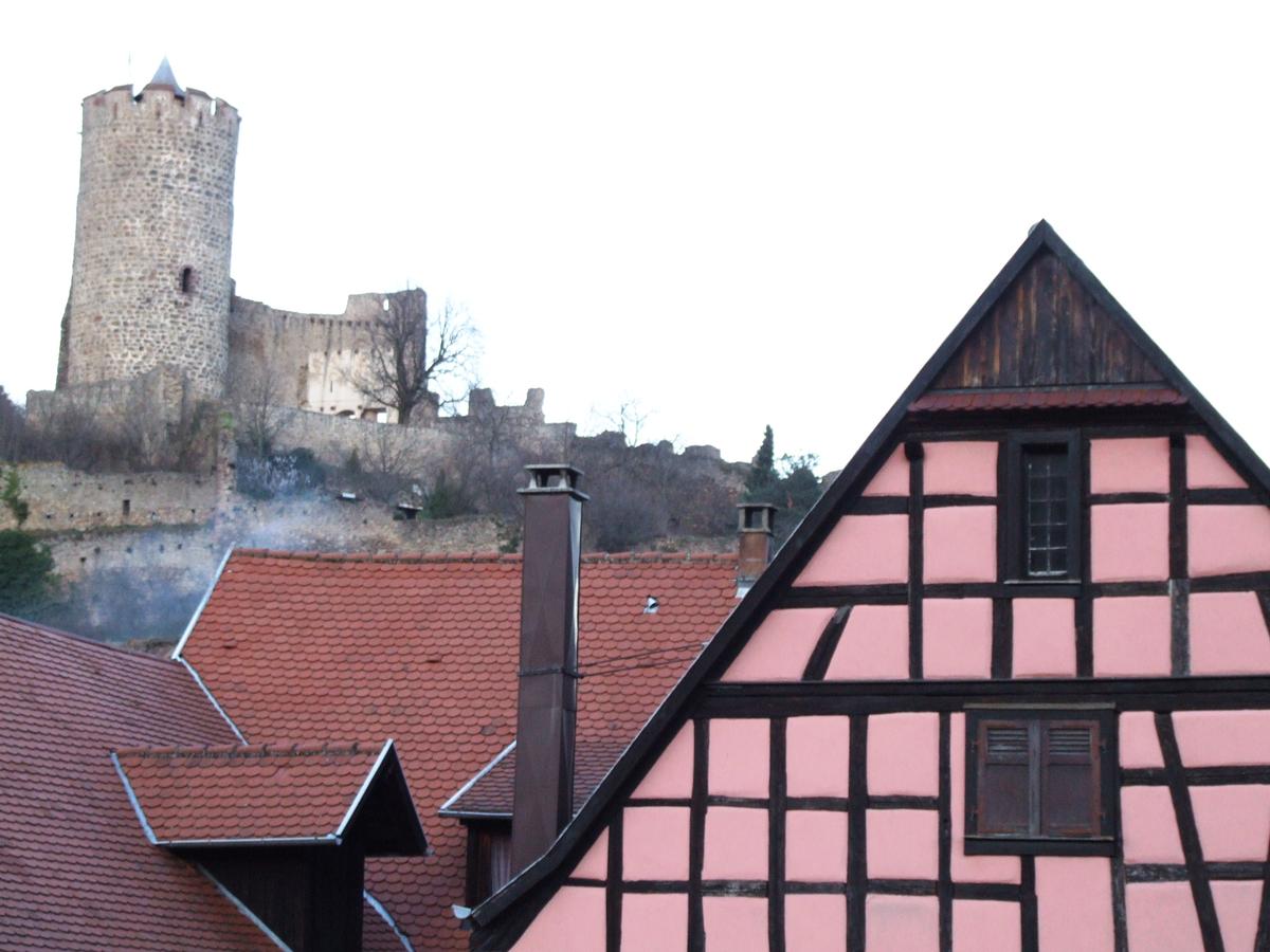 Château de Kaysersberg construit au 13ème siècle par les Hohenstaufen 