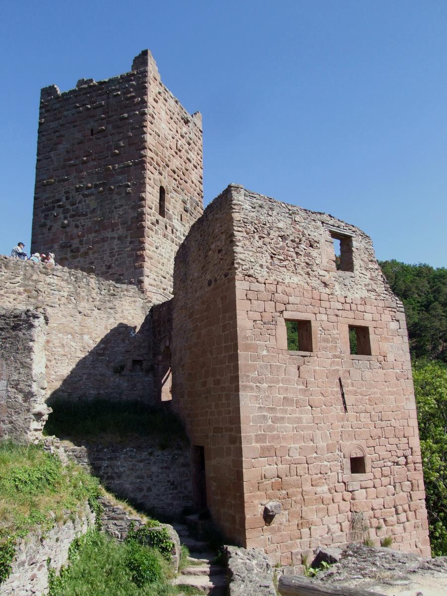 Ribeauvillé - Château Saint-Ulrich (Grand-Ribeaupierre) - Le logis et le donjon du 12ème siècle Ribeauvillé - Château Saint-Ulrich (Grand-Ribeaupierre) - Le logis et le donjon du 12 ème siècle