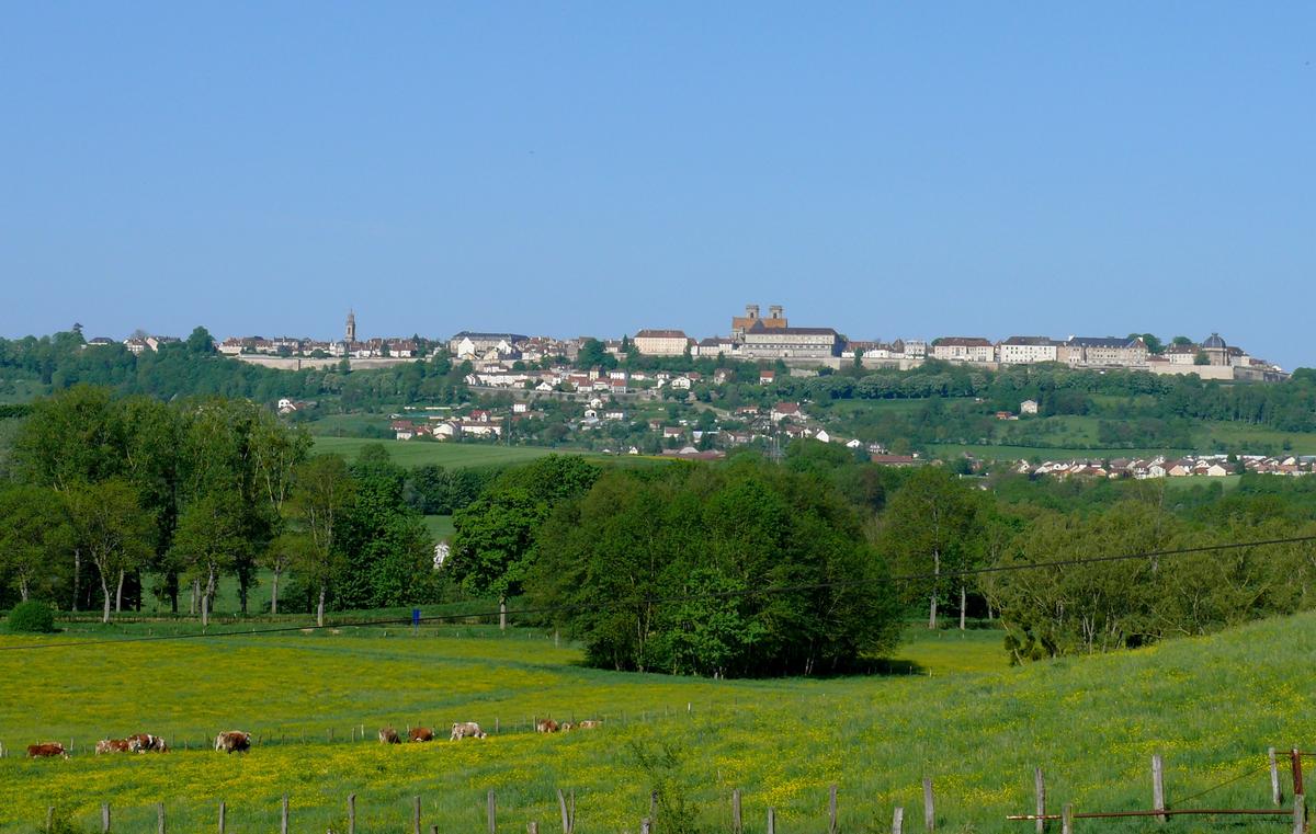 Langres - Remparts - Vue générale de la ville haute de Langres entourée de remparts. Vue du côté Est 