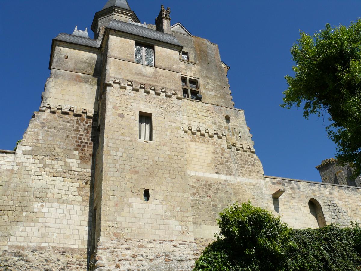 Château du Grand-Pressigny 