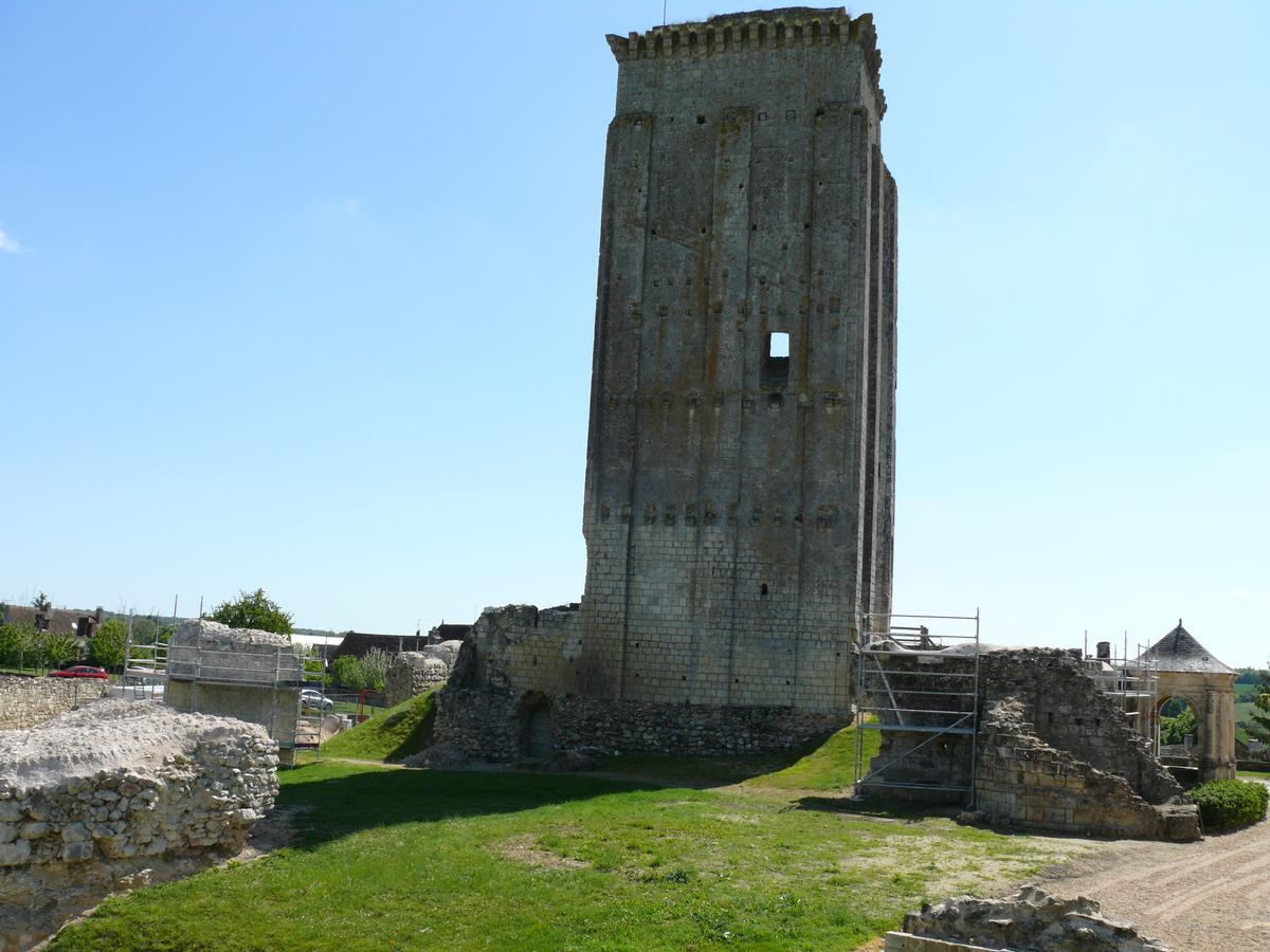 Fiche média no. 139348 Château du Grand-Pressigny - Le donjon du 12 ème siècle et les restes des murs et des tours de la chemise qui le protégeait au 13 ème siècle