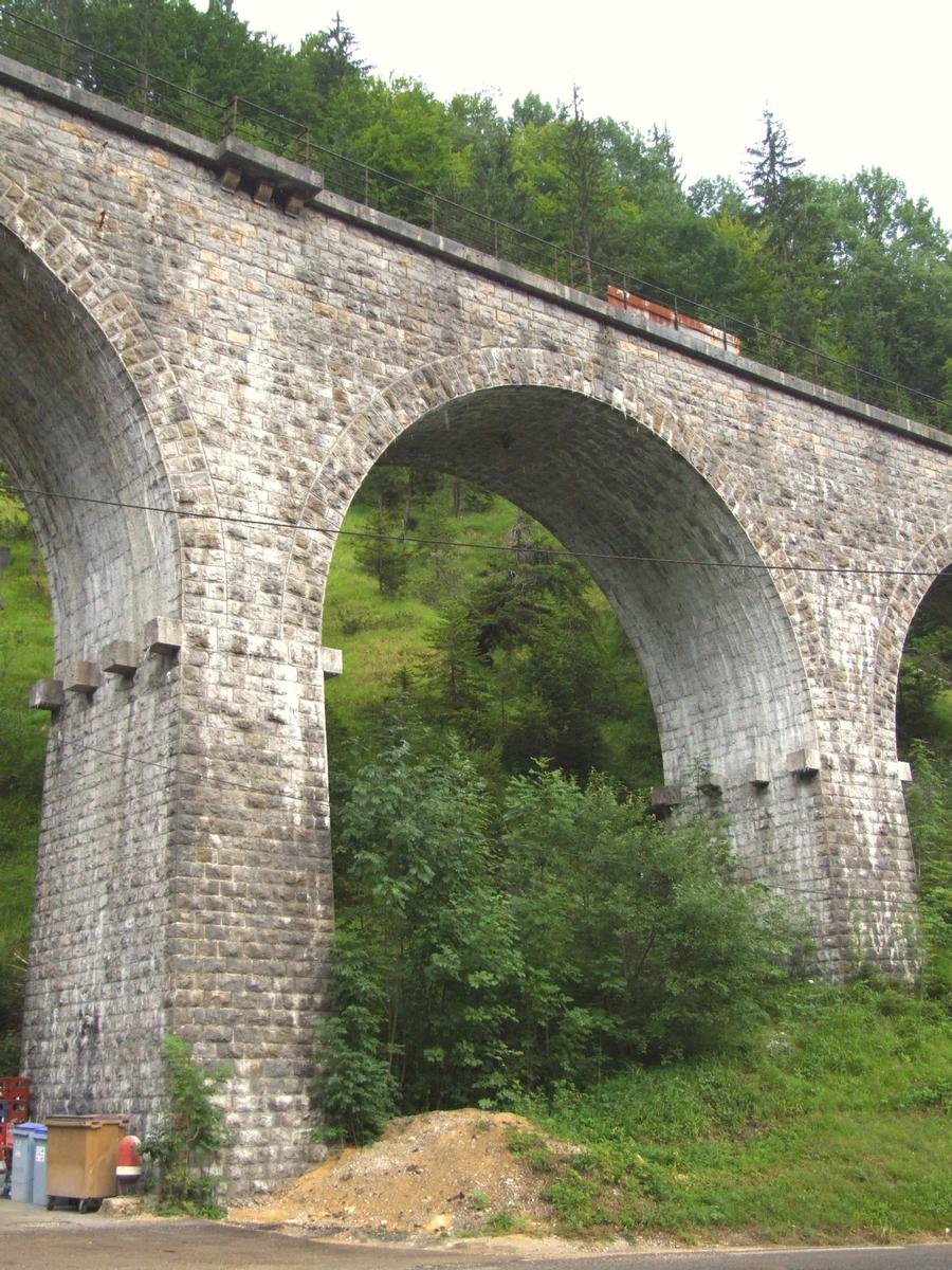 Ligne des Hirondelles - Morez - Viaduc de l'Evalude 
