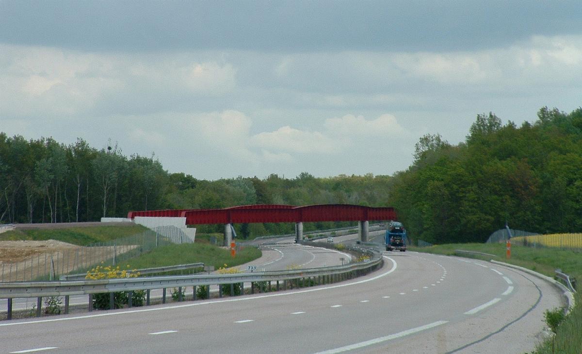 LGV Est Européenne - Lot 13 - Viaduc de l'Orxois - Franchissement de l'autoroute A4 près de Château-Thierry - Ensemble côté ouest 