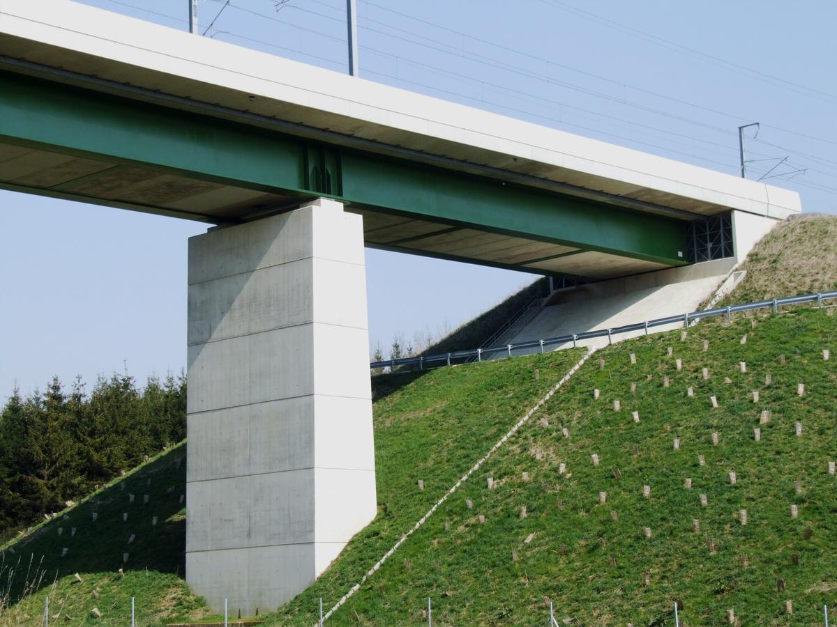TGV East/Europe - Essômes-sur-Marne Viaduct 