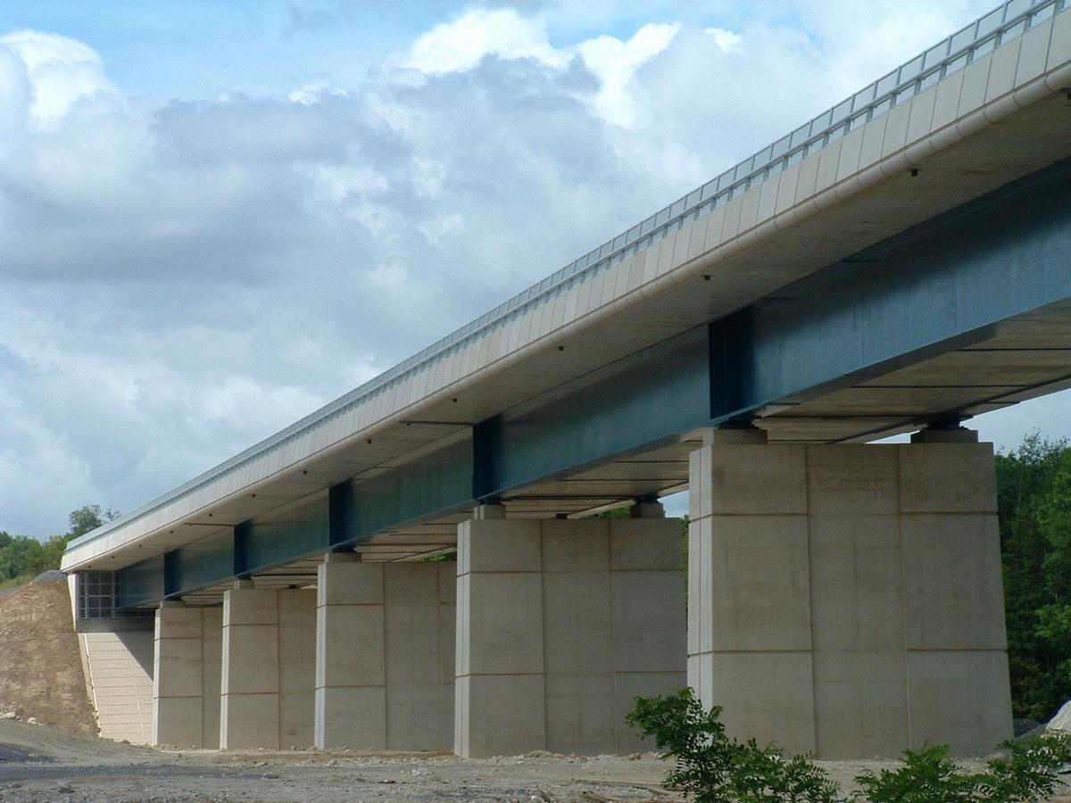 Fiche média no. 40680 LGV Est Européenne - Viaduc de Tramery - Tablier de six travées avec raidissement inférieur en dalles préfabriquées en béton armé côté Ouest