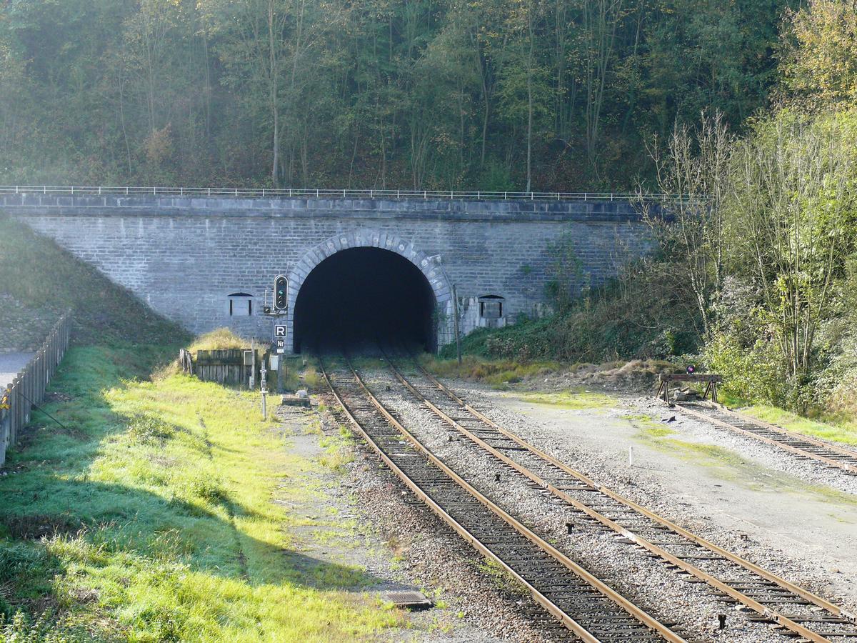 Ligne de chemin de fer Charleville-Givet-frontière belge - Tunnel de Charlemont (510 m) sous le fort de Charlemont à Givet 