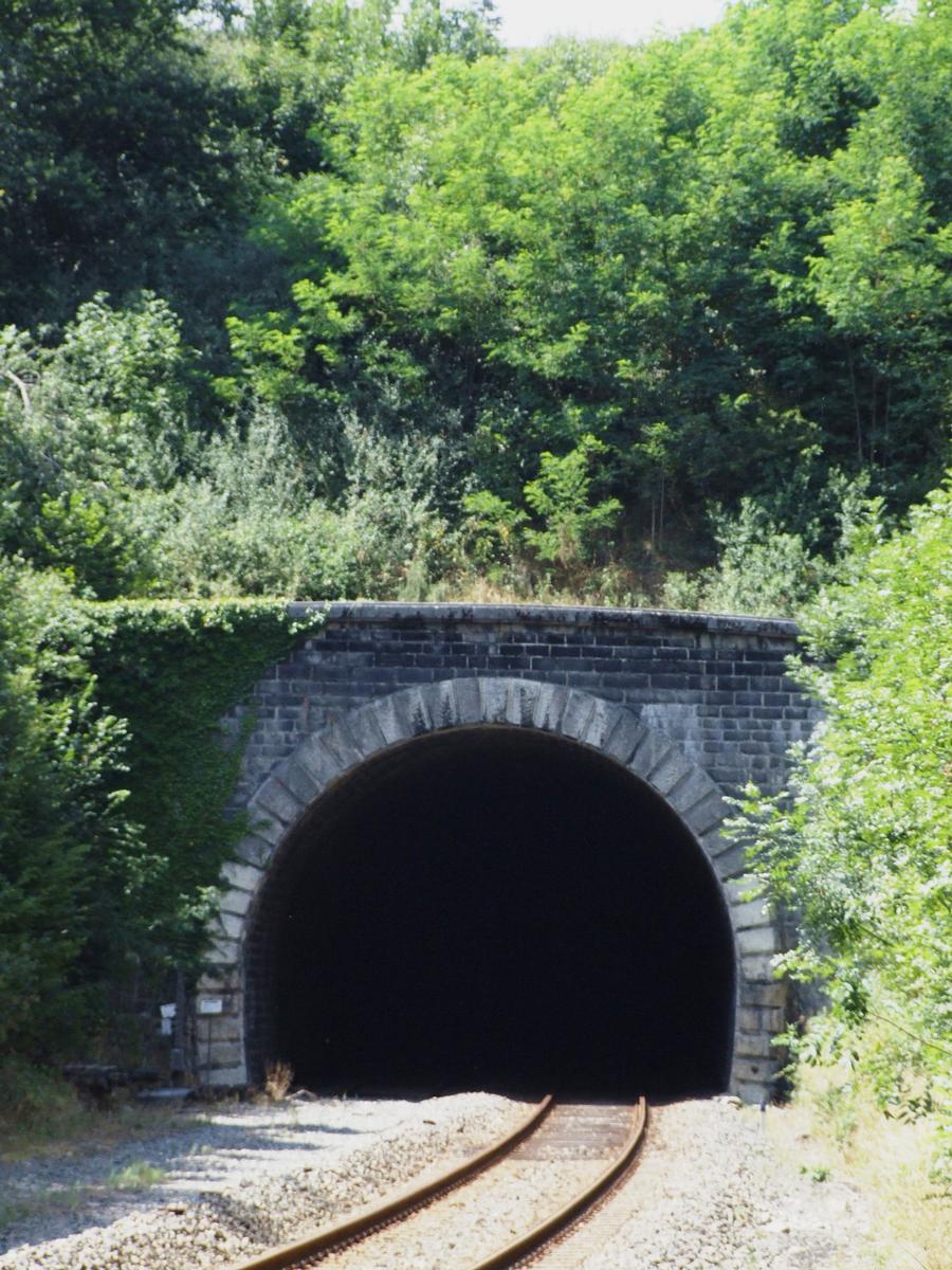 Ligne de chemin de fer Paray-le-Monial - Lozanne - Tunnel des Echarmeaux - Côté Poule-les-Echarmeaux 