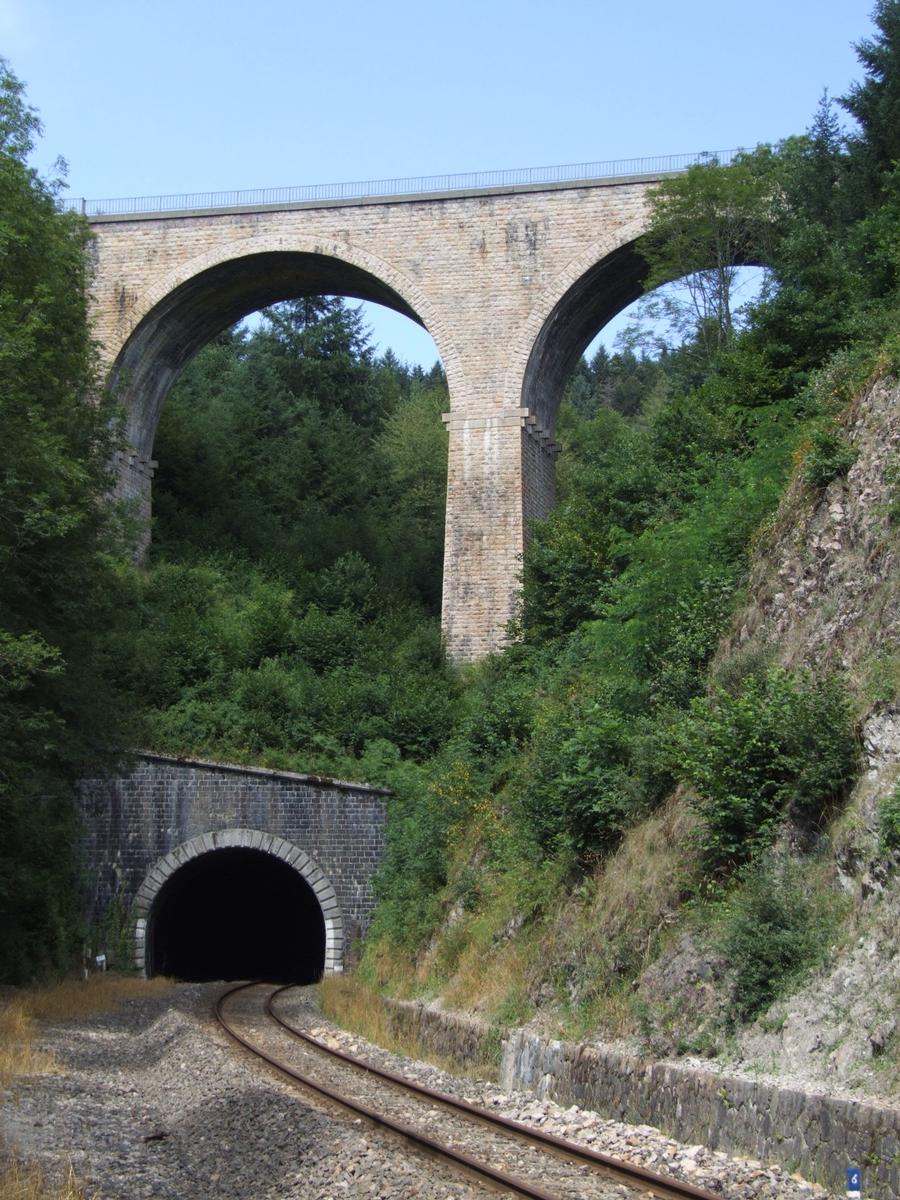 Fiche média no. 75456 Ligne de chemin de fer Paray-le-Monial - Lozanne - Boucle de Claveisolles - Sortie du tunnel de Claveisolles au-dessous du viaduc de Saint-Nizier-d'Azergues