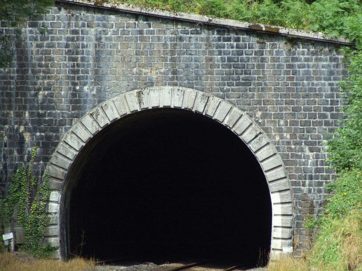 Ligne de chemin de fer Paray-le-Monial - Lozanne - Boucle de Claveisolles - Sortie du tunnel de Claveisolles à Saint-Nizier-d'Azergues 