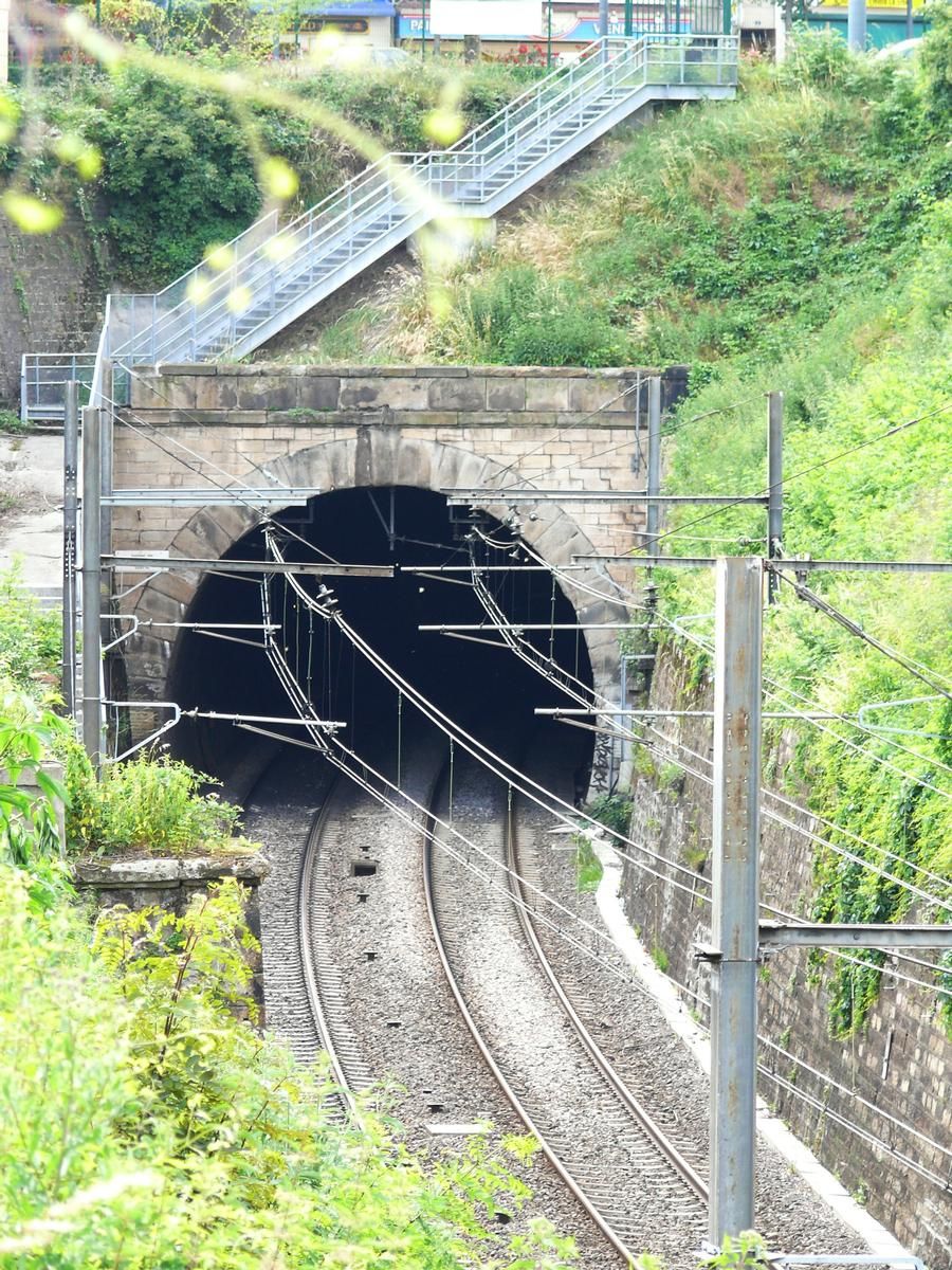 Terrenoire-Tunnel 