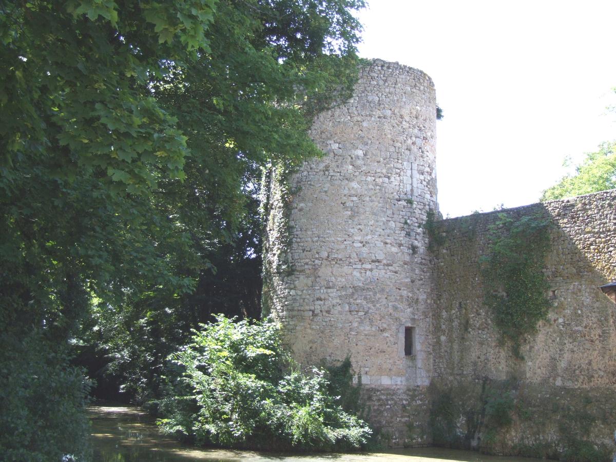 Stadtmauern von Châtillon-Coligny 