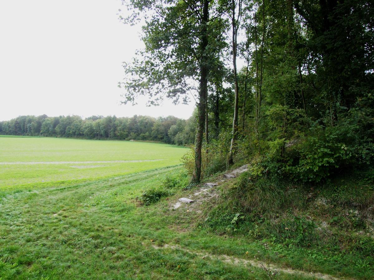 La Cheppe - Camp d'Attila (oppidum des Catalauni) - Vue de l'intérieur de l'oppidum 