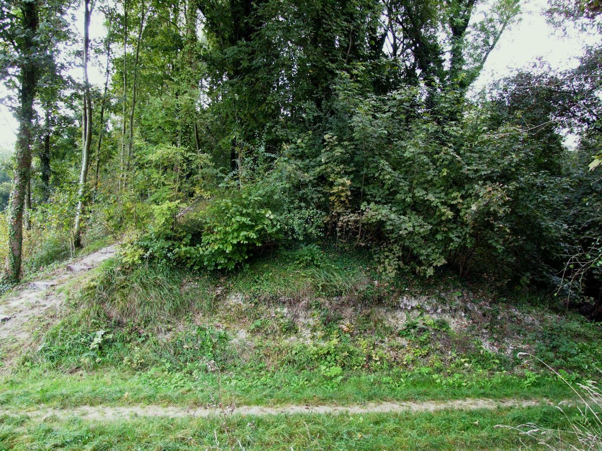 La Cheppe - Camp d'Attila (oppidum des Catalauni) - Coupe de la levée de terre de plusieurs mètres de hauteur 