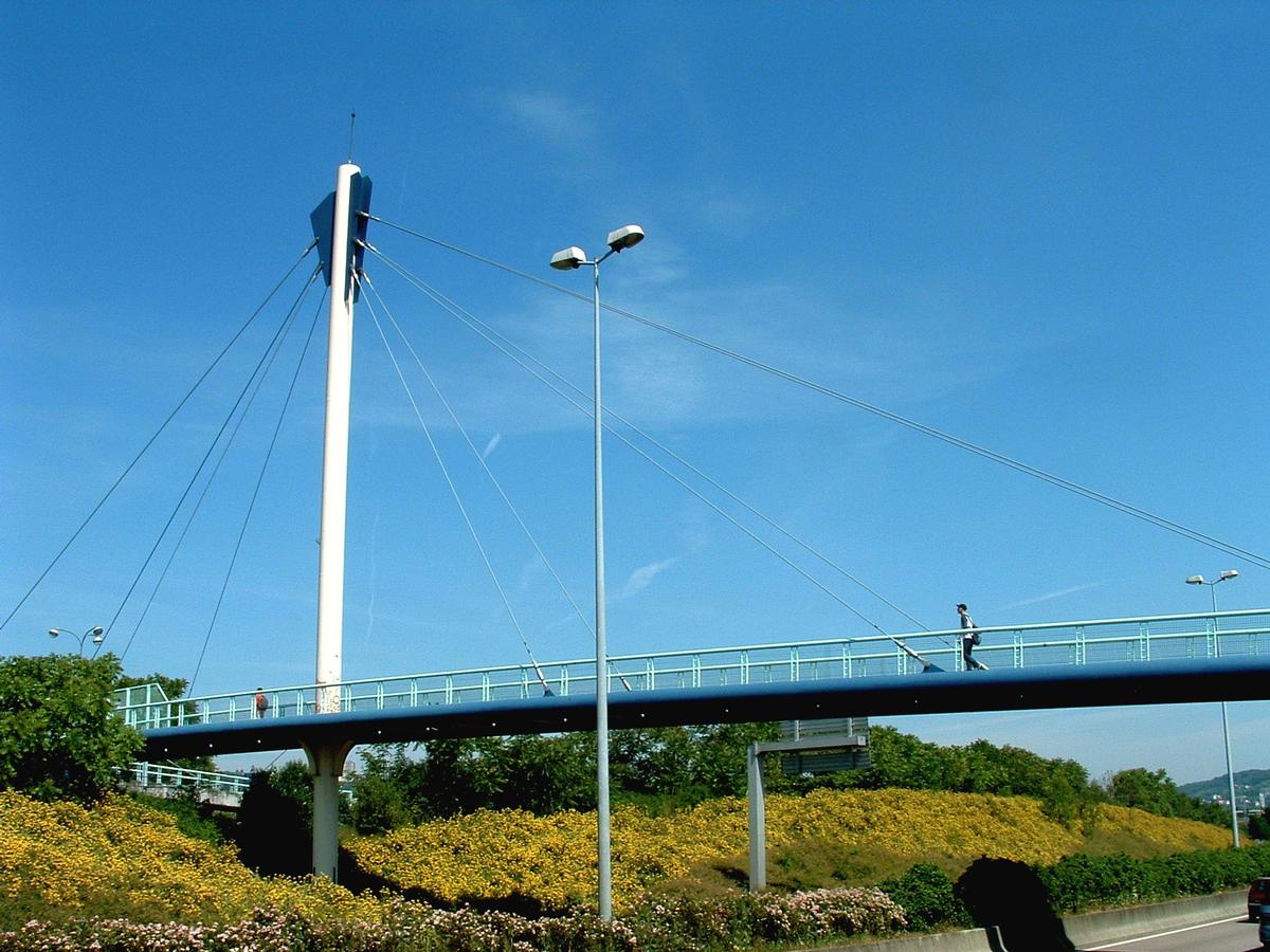Cable-stayed footbridge, Petit-Quevilly 