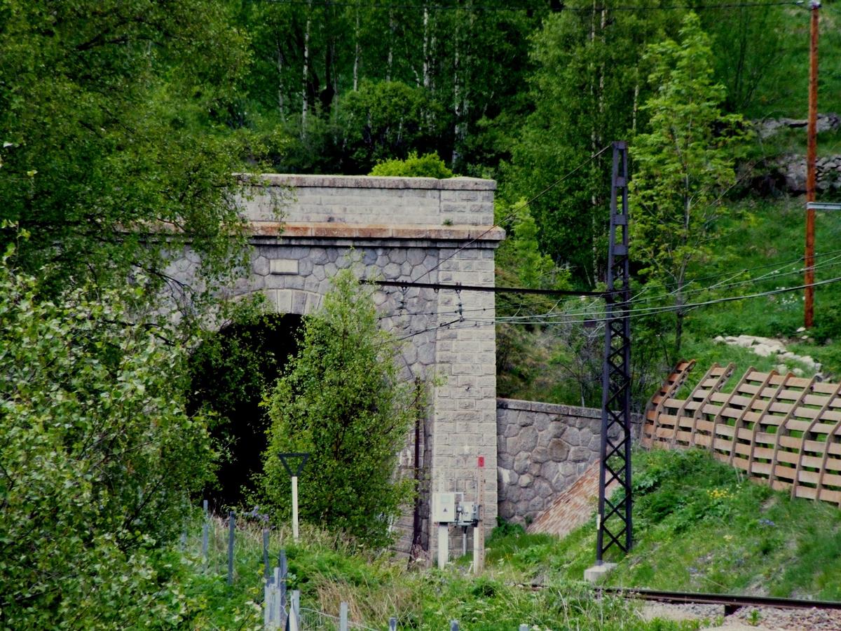 Tunnel ferroviaire de Puymorens - Entrée sud 