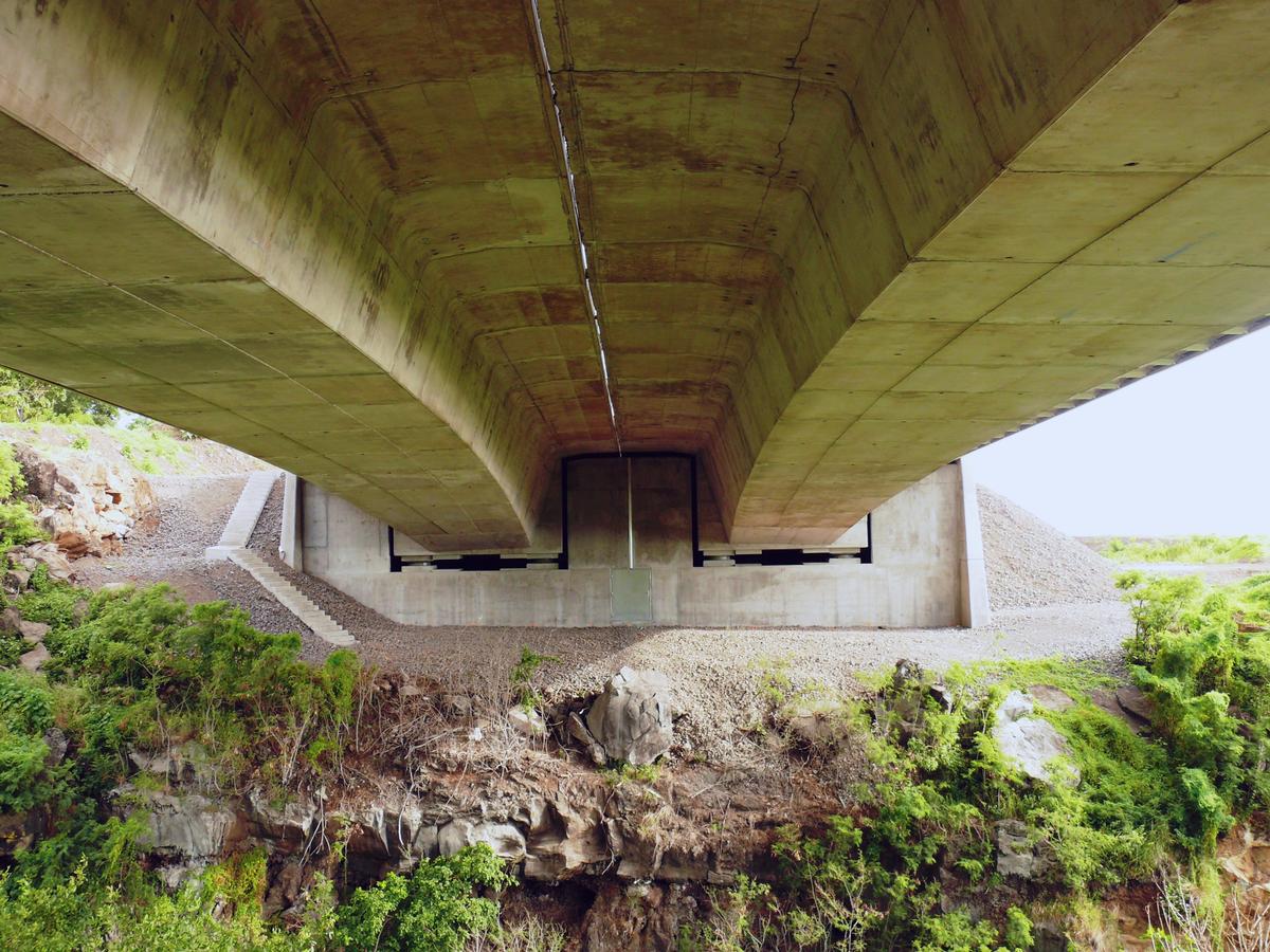 Fiche média no. 105937 Route des Tamarins - Viaduc de la Ravine des Poux - Deux tabliers parallèles, monocaissons en béton précontraint, construits par encorbellement à l'aide d'équipages mobiles à partir de culées contrepoids