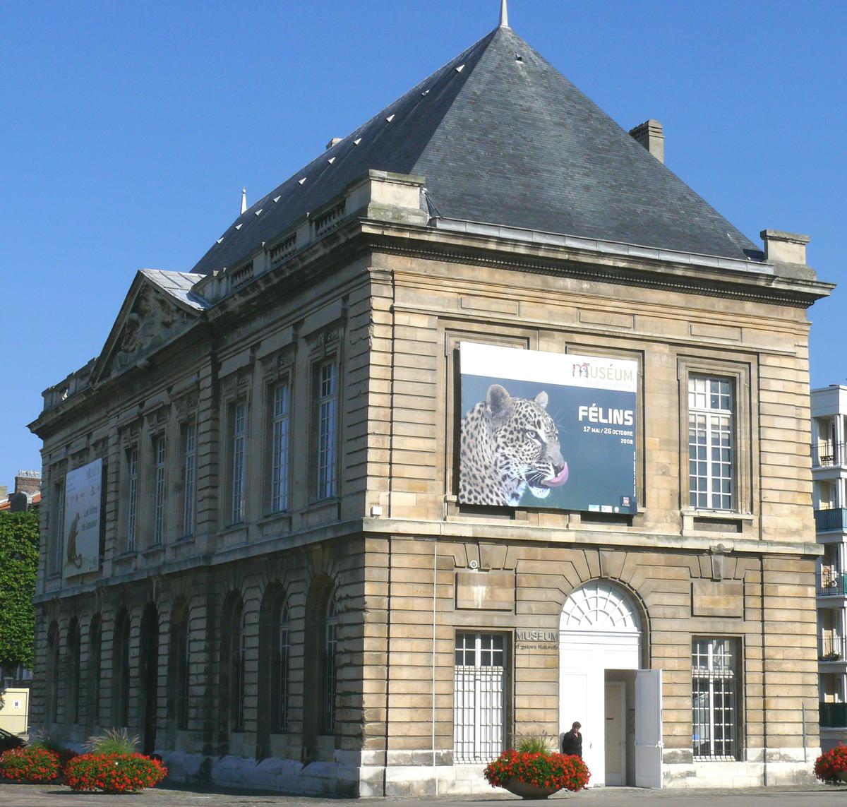 Grattoir  Muséum d'histoire naturelle du Havre