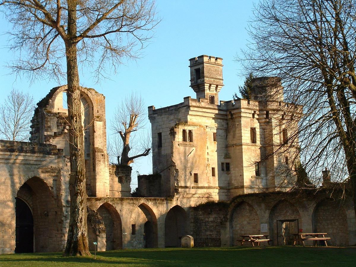 Septmonts - Château des évêques de Soissons - Vestiges de la salle Saint-Louis 