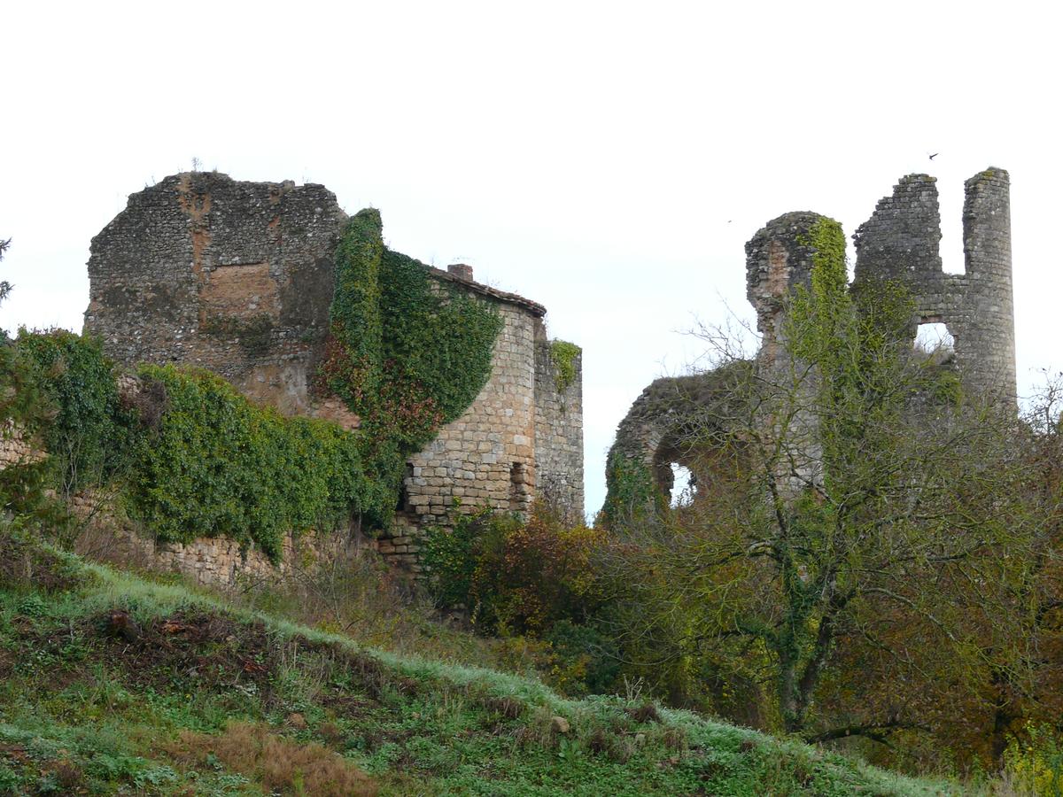 Schloss Château-Larcher 
