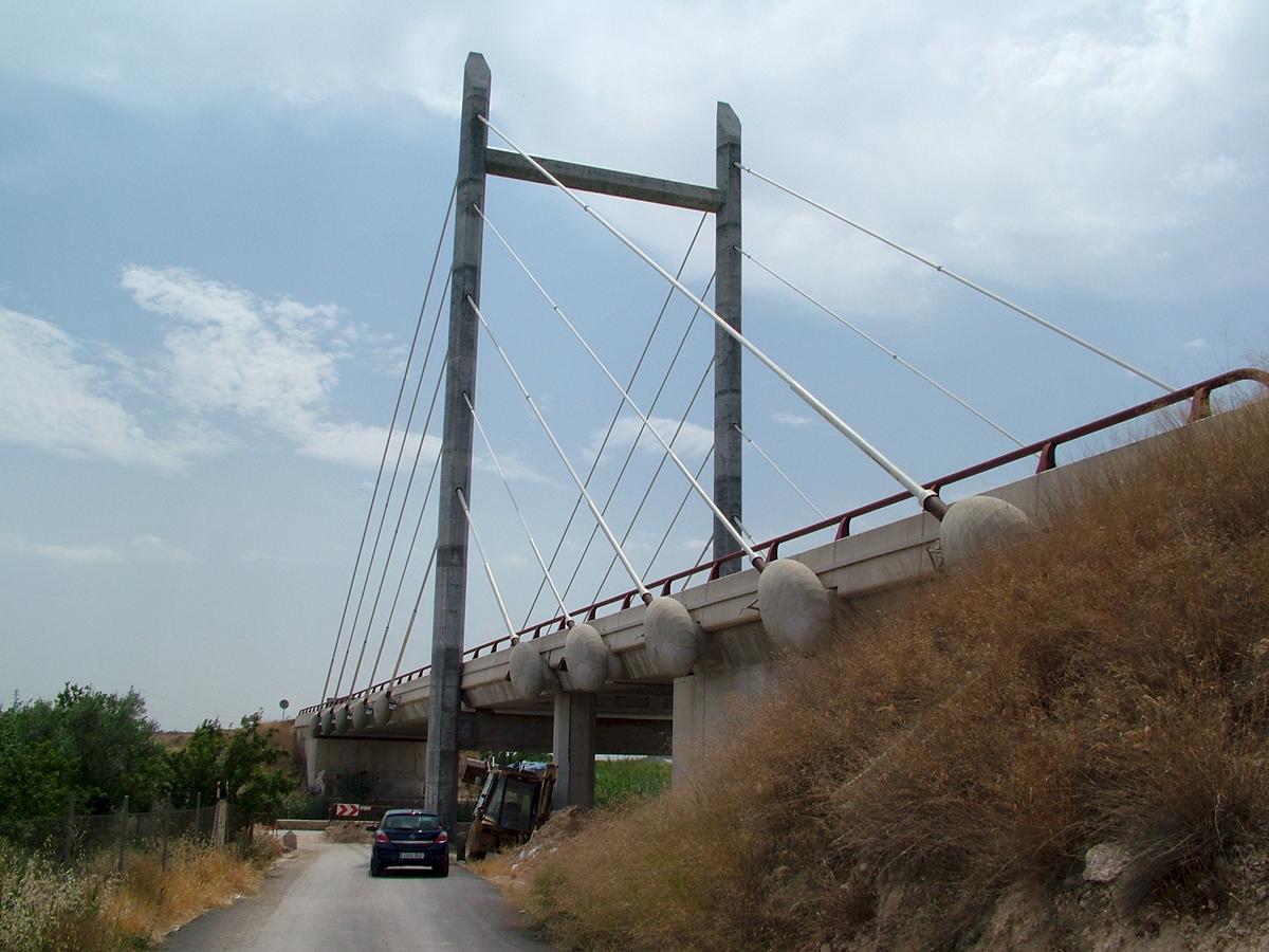 Archena-Brücke 