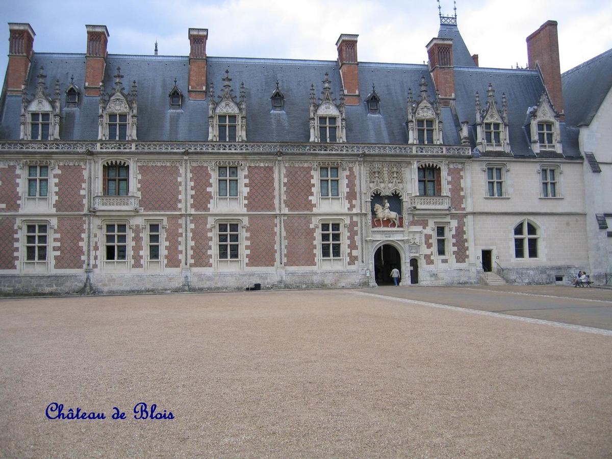 Blois Castle 