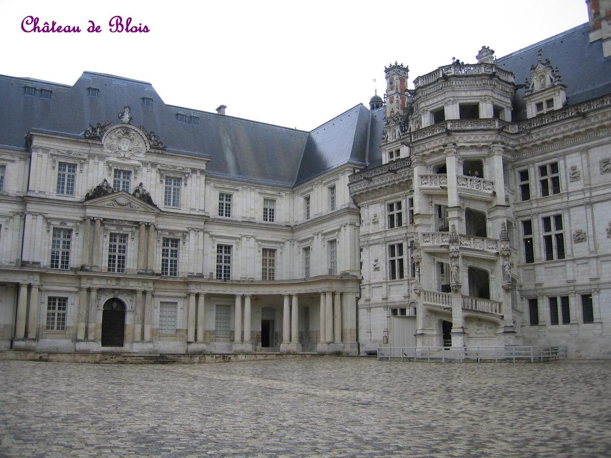 Blois Castle 