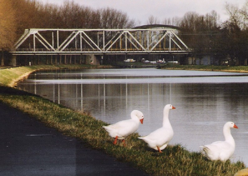 Canal du Centre. Le pont métallique du chemin de fer Ecaussinnes - La Louvière à Bois d'Haine 