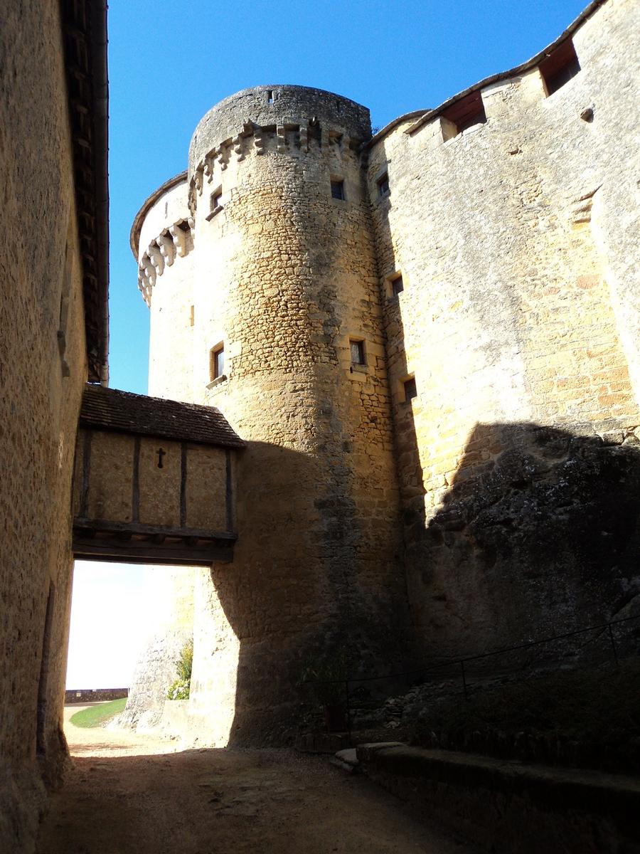Schloss Fenelon 