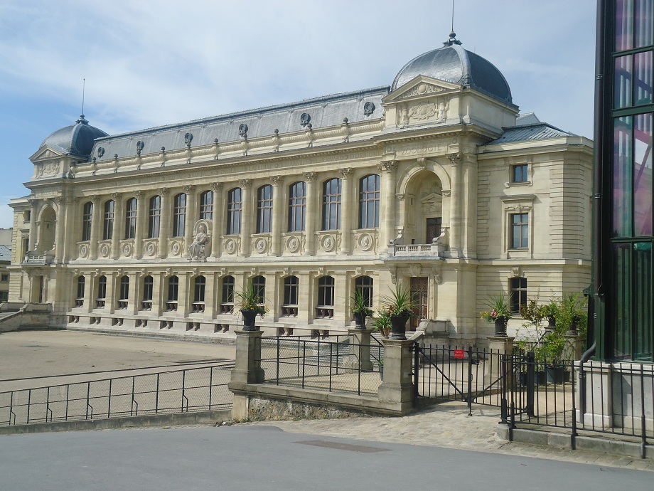 La galerie de l'évolution (ou galerie de zoologie) du Museum national d'Histoire naturelle (Paris 5e 