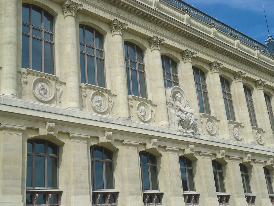 Le Museum national d'Histoire naturelle, galerie de zoologie (Paris 5e) 