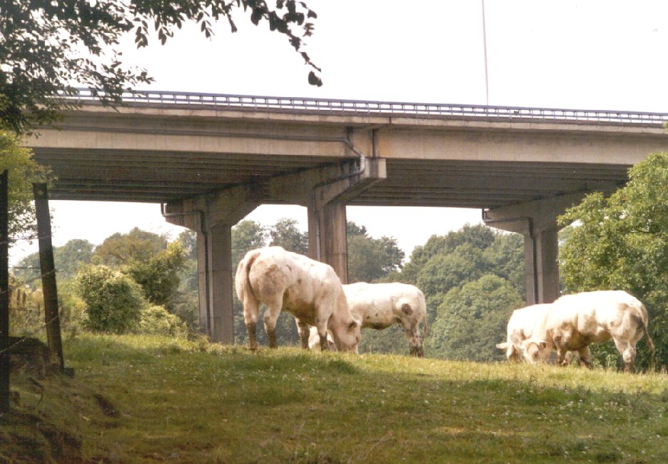 Le viaduc de l'E411 à Sovet, au-dessus du Bocq (province de Namur) 