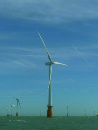 Der Offshore-Windpark Thanet vor der Küste Englands ist über 32 km2 gros (Foto: Dillinger) 