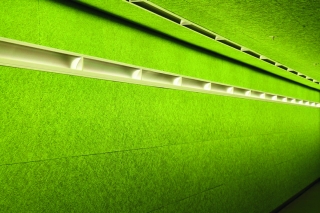 Heradesign Akustikplatten in kräftigem Olympia-Hellgrün: die Akustikwand besteht aus Heradesign superfine Akustikplatten 