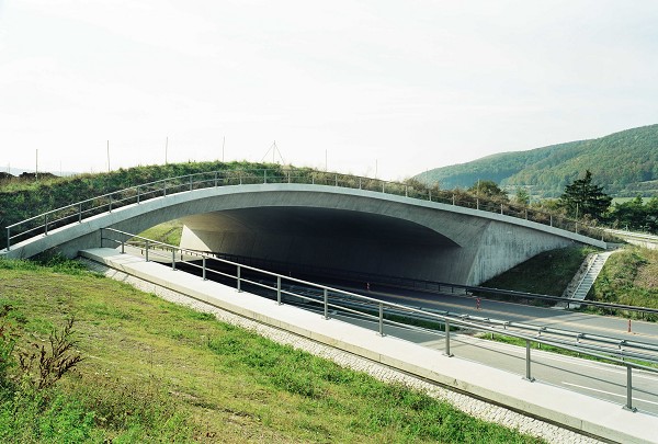 Grünbrücke A72 