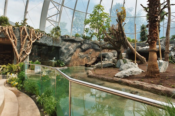 Maison des orangs-outans, Zoo de Hambourg 