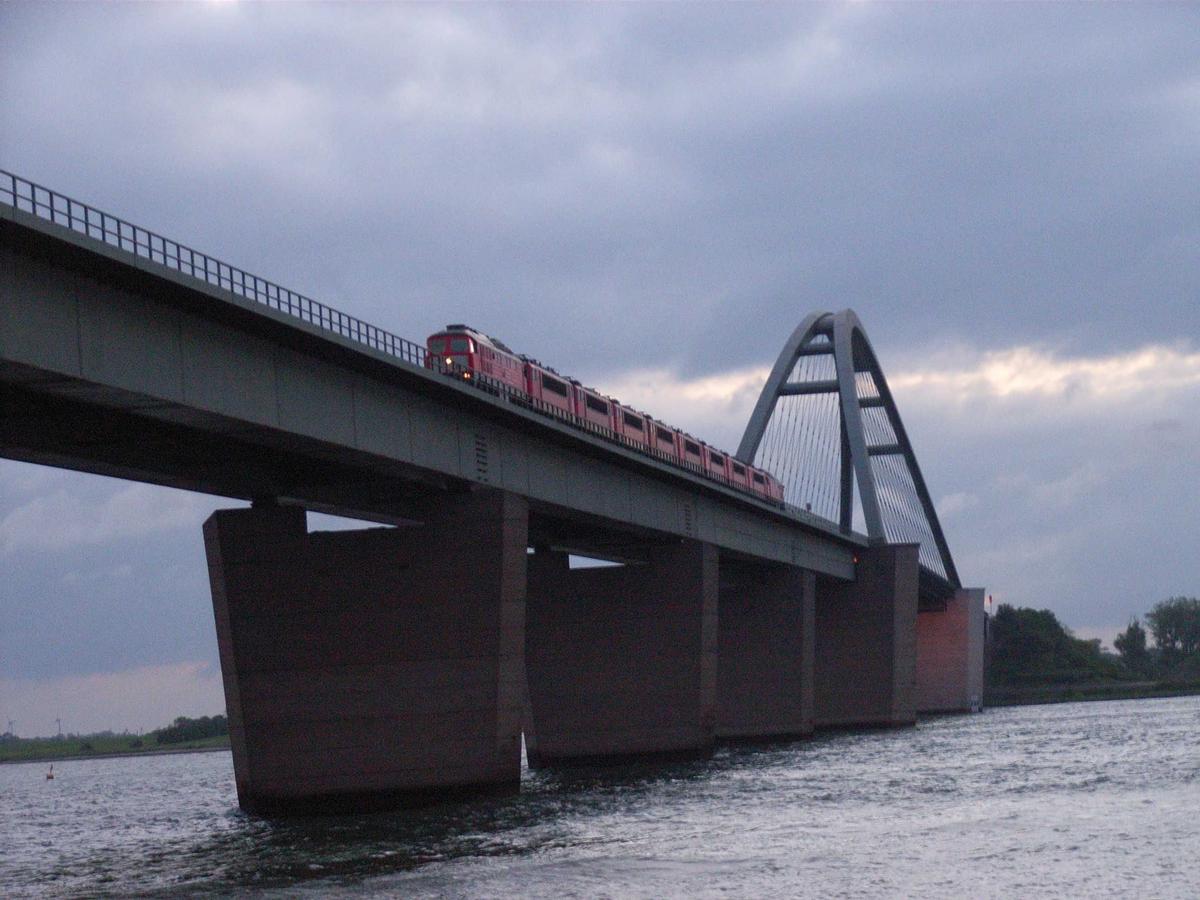 Lokomotivzug mit zwei Einheiten BR 232 und acht Einheiten BR 155 auf der Fehmarnsundbrücke [3] 