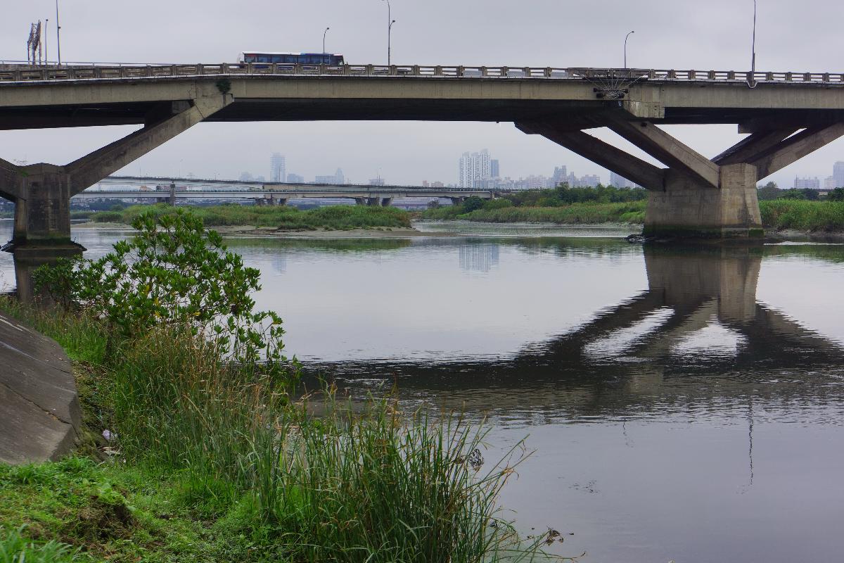 Zhongxiao-Brücke 