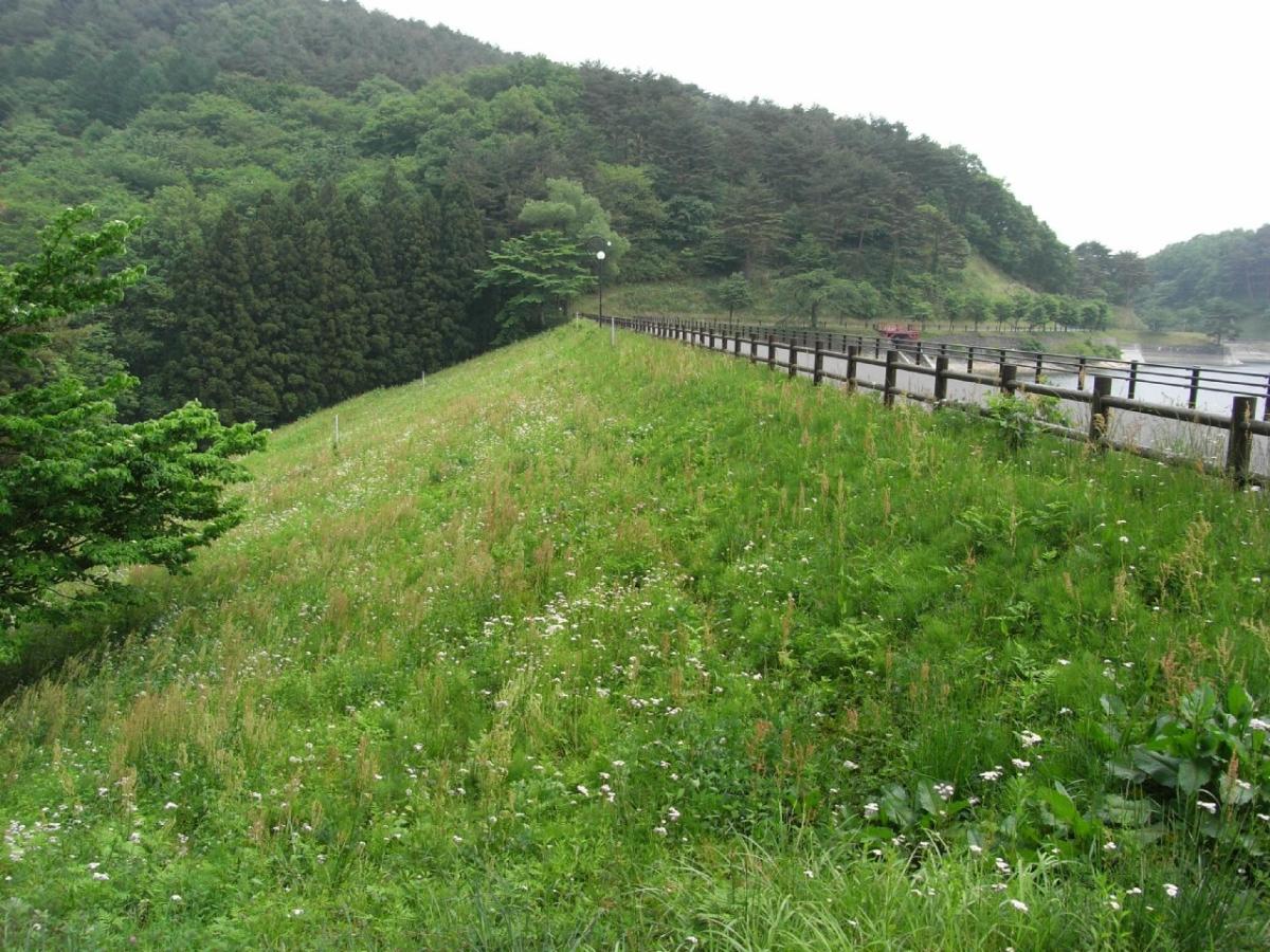 Fujinuma-Staudamm 