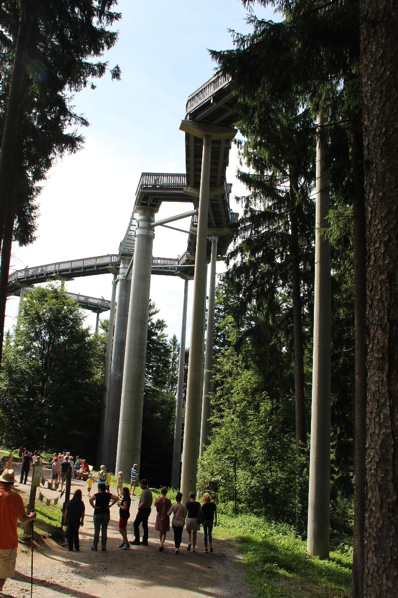 Sankt Englmar–Maibrunn Canopy Walk 