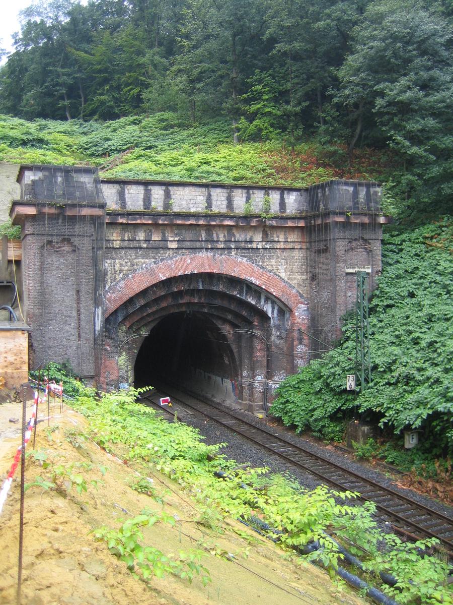 Buschtunnel 