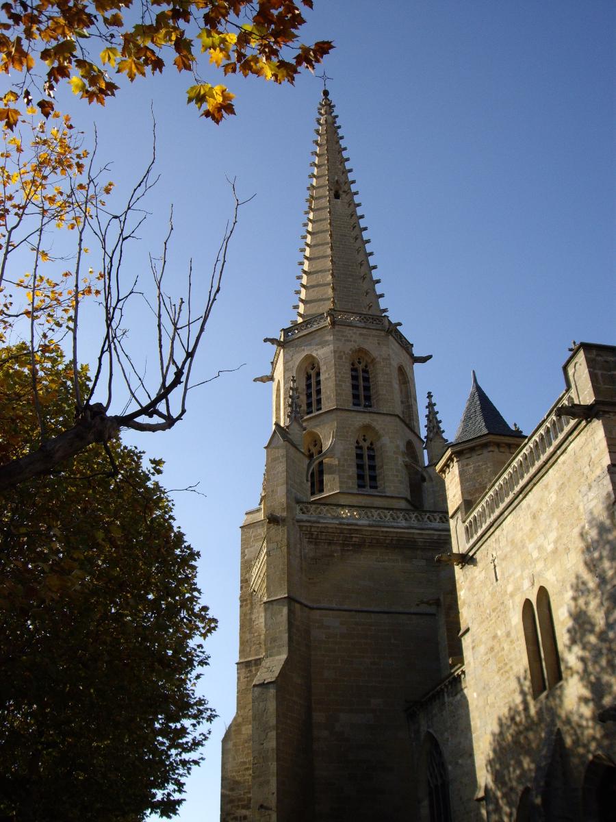 Cathédrale Saint-Maurice - Mirepoix 