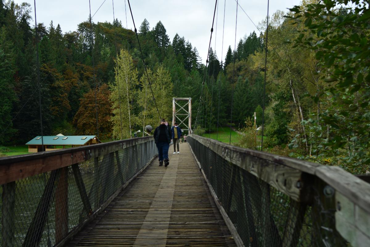 Crossing pedestrian suspension bridge over the Snoqualmie River, Tolt-MacDonald Park, Carnation, Washington Looking west.