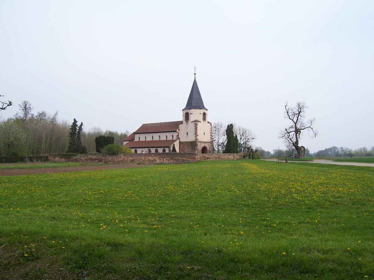 Eglise Saint-Pierre - Avolsheim 