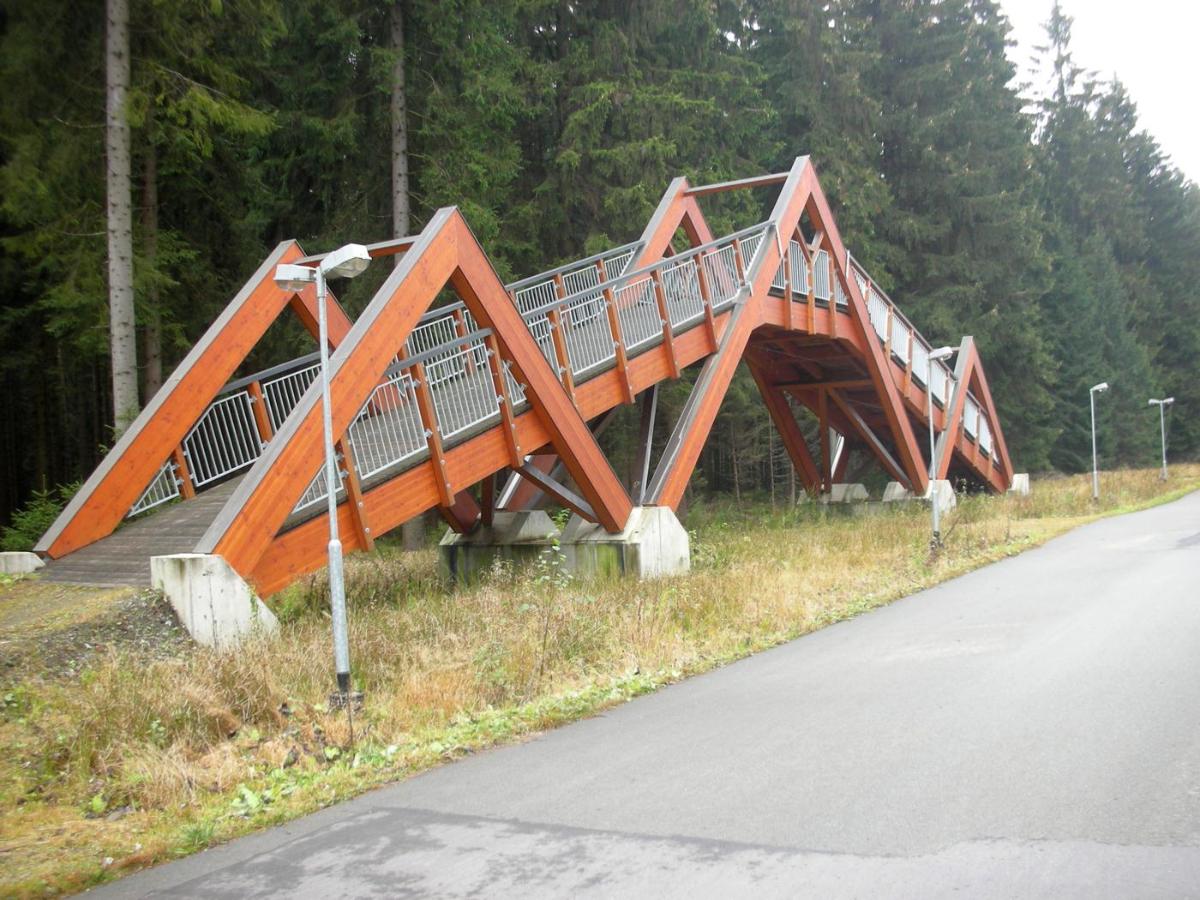 Loipenbrücke Grünbach 