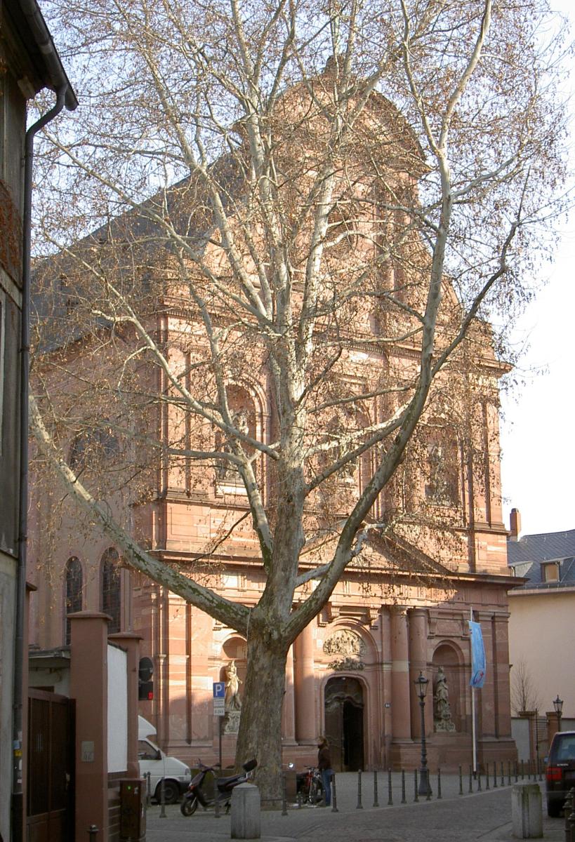 Pfarrkirche Sankt Ignaz 