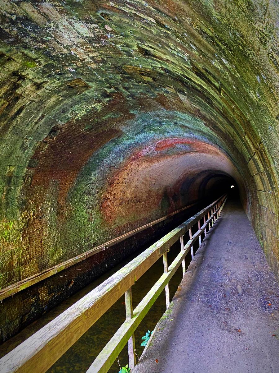 Paw Paw Tunnels in Maryland Minerals in the ceiling change colors in the light