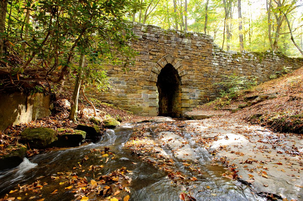 Poinsett Bridge An arched stone bridge named for Joel R. Poinsett. It is believed to be the oldest surviving bridge in South Carolina. It was built in 1820.