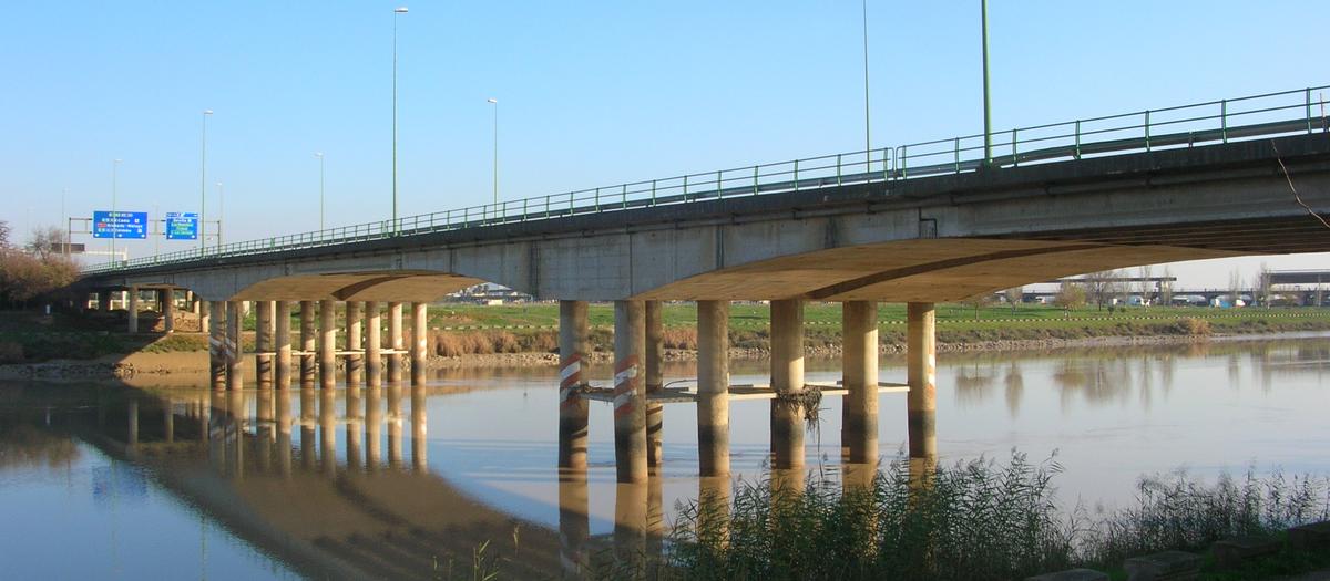 Puente Rey Juan Carlos I 