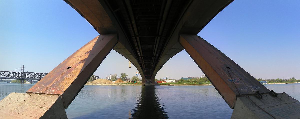 Gazelle Bridge 