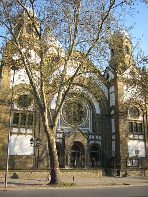 Synagogue de Novi Sad - Novi Sad 